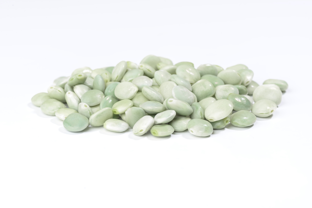 how to cook navy beans in a crock pot Cook Navy Beans